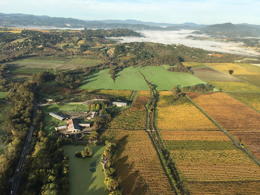 Wine Country Balloons image