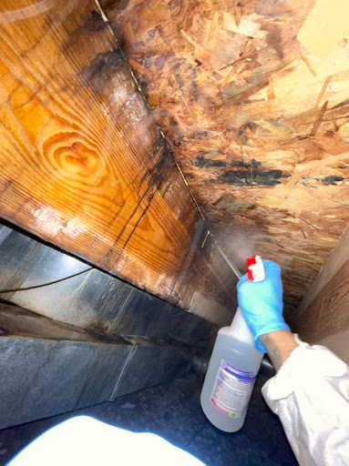 Carpet Cleaning Service «Harris Services», reviews and photos, 5123 S Production Dr C, Bloomington, IN 47403, USA