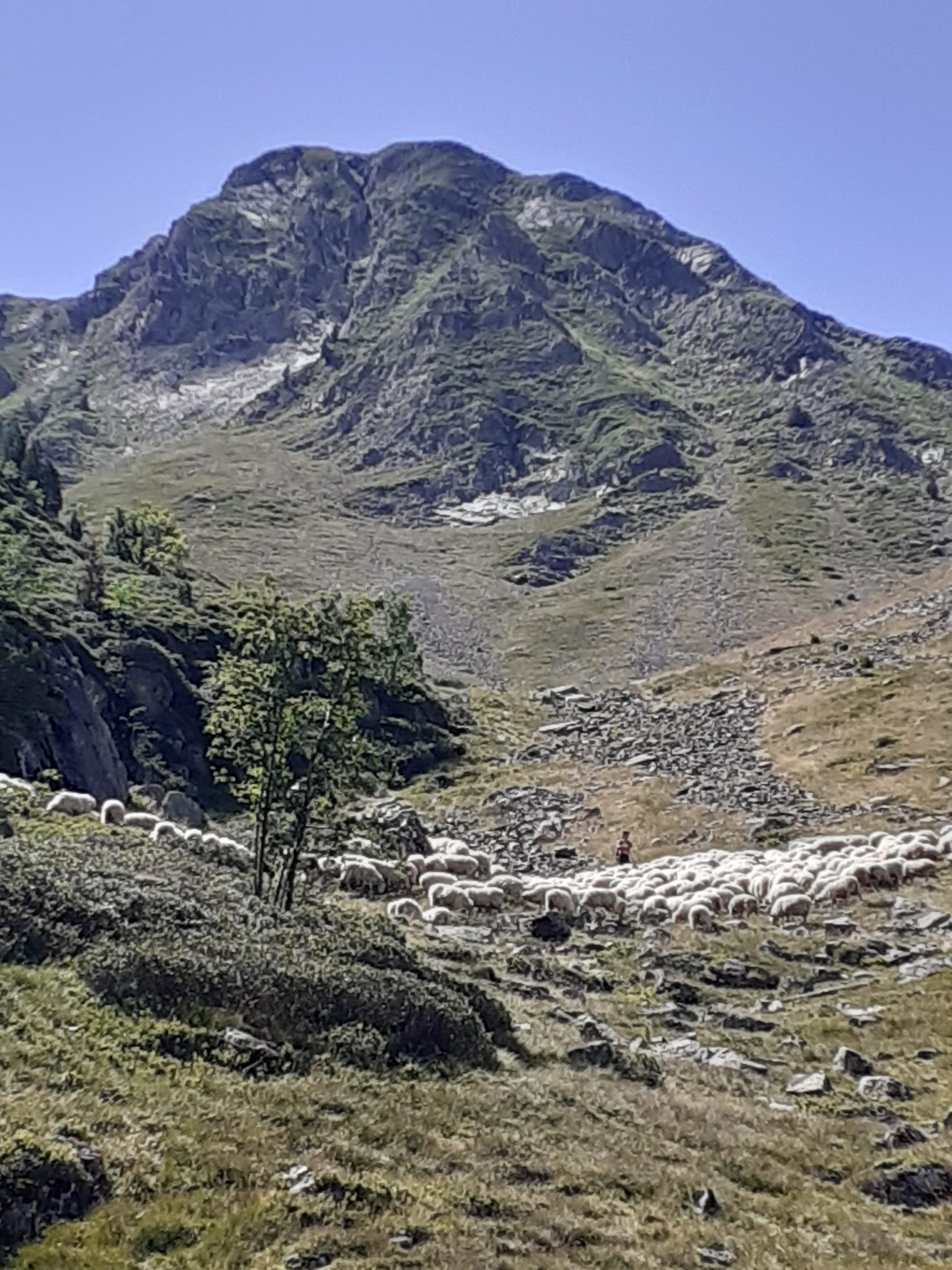 Photo n° 8 de l'avis de Laurent.e fait le 09/08/2023 à 18:04