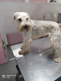 Av Prol Cesar Vallejo Mz D-52 Urb Las Praderas del Golf. Victor Larco., Trujillo, Perú