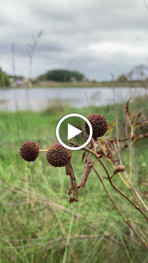 Nature Preserve «Joshua Springs Park and Preserve», reviews and photos, 716 Farm to Market 289, Comfort, TX 78013, USA