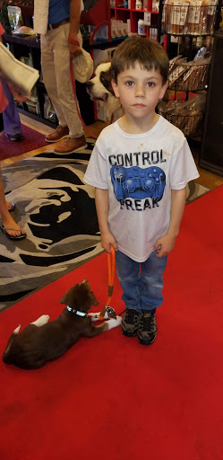 Pet Supply Store «Dog Krazy», reviews and photos, William St, Fredericksburg, VA 22401, USA