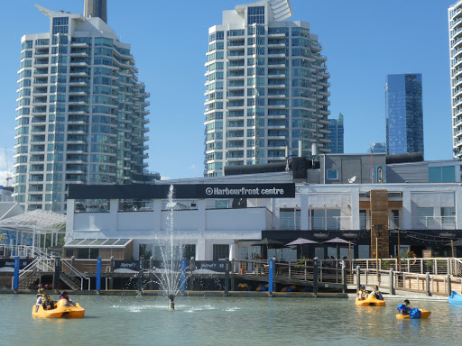 Harbourfront Centre Camps