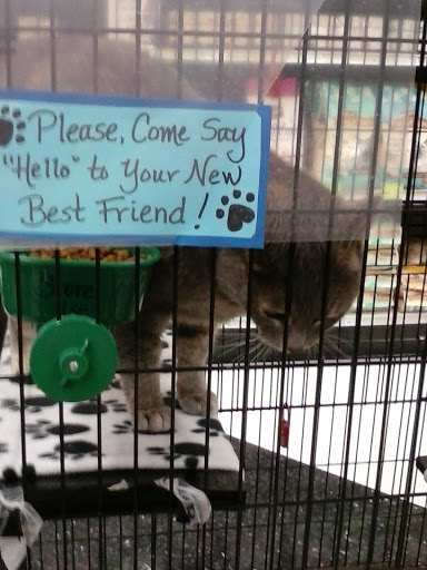 Pet Supply Store «Feeders Supply», reviews and photos, 1610 Ring Rd, Elizabethtown, KY 42701, USA