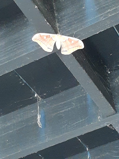 Self-Storage Facility «American Classic Self Storage - Oyster Point», reviews and photos, 300 Bell King Rd, Newport News, VA 23606, USA