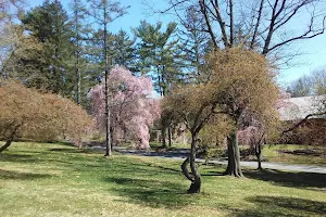 D.F. Buchmiller County Park image