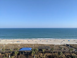 Carolina beach'in fotoğrafı çok temiz temizlik seviyesi ile