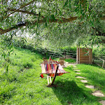 Photo n°4 de l'avis de Alisa.p fait le 11/09/2021 à 13:02 sur le  Weiße Mühle à Breitenworbis