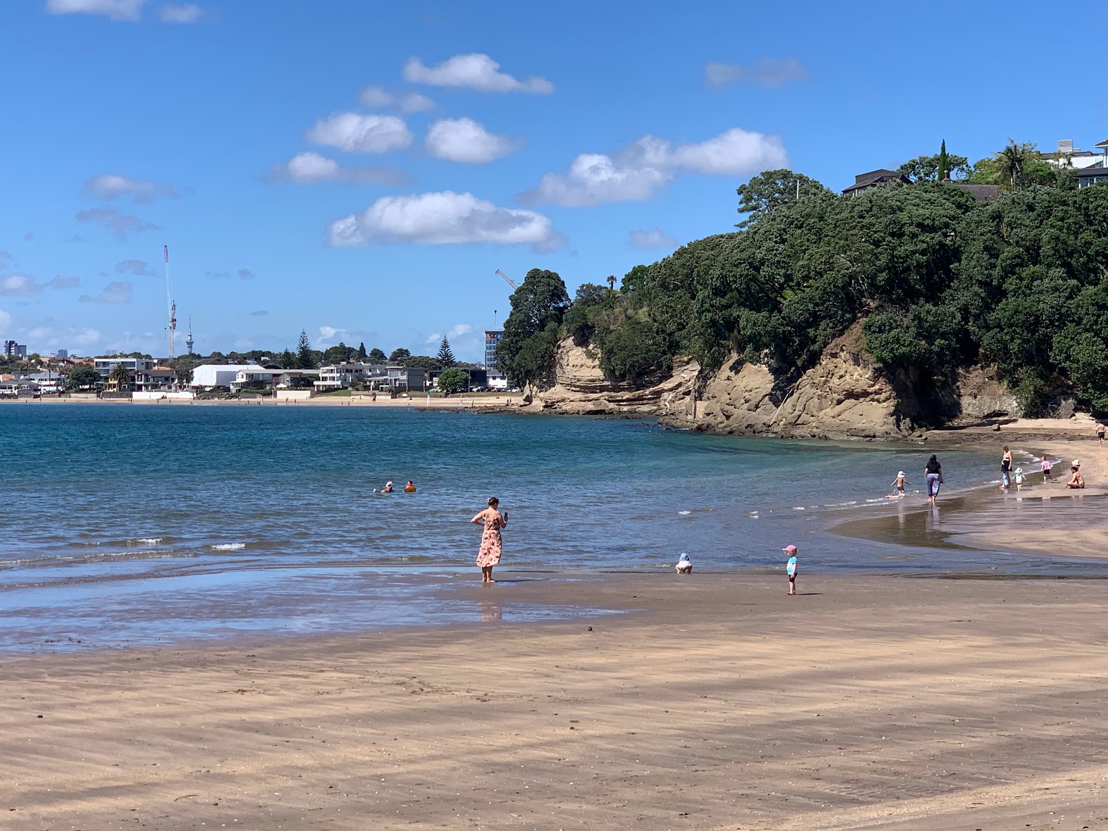 Foto von Castor Bay Beach annehmlichkeitenbereich