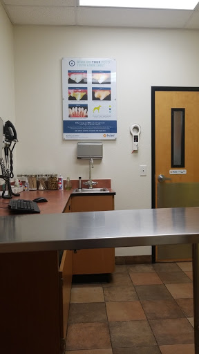 Pet Supply Store «PetSmart», reviews and photos, 777 S Willow St, Manchester, NH 03103, USA