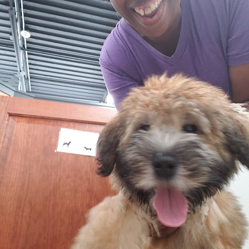 Pet Store «Happiness Is Pets - Downers Grove», reviews and photos, 1542 Ogden Ave, Downers Grove, IL 60515, USA