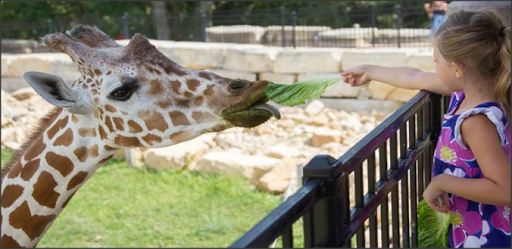 Zoo «Niabi Zoo», reviews and photos, 13010 Niabi Zoo Rd, Coal Valley, IL 61240, USA