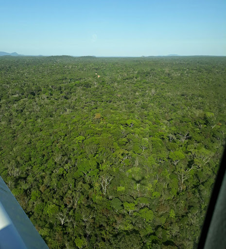Amazônia Gestão Ambiental - Consultoria e Soluções Empresariais