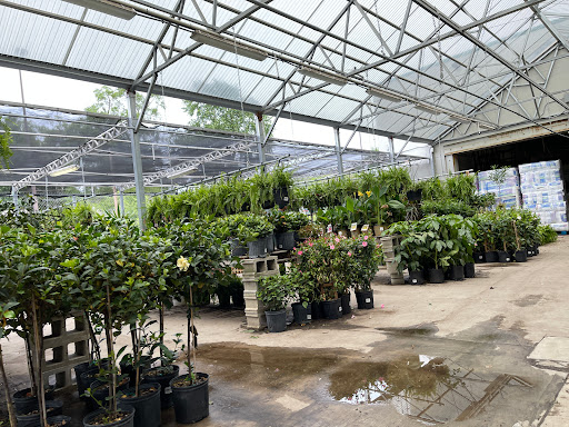 Hardware Store «Sutherlands Lumber #1220», reviews and photos, 6709 Blue Ridge Blvd, Raytown, MO 64133, USA