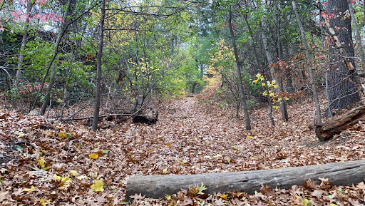 Park «Norumbega Park», reviews and photos, 2285 Commonwealth Avenue, Auburndale, MA 02466, USA