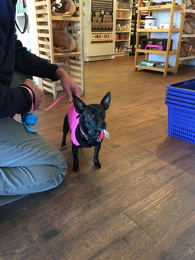 Pet Supply Store «Republic of Paws», reviews and photos, 2411 W Colorado Ave, Colorado Springs, CO 80904, USA