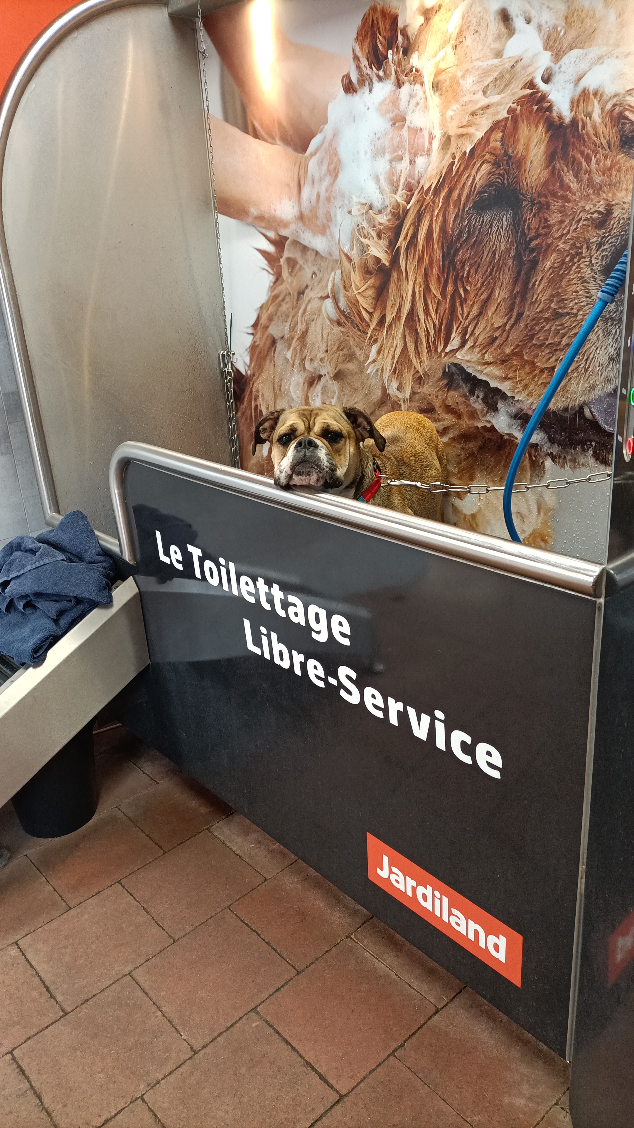 Photo n° 1 de l'avis de anne.o fait le 25/08/2022 à 15:37