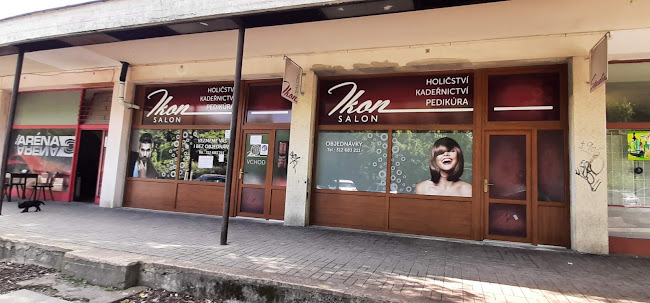 Komentáře a recenze na Salon Ikon - I. Konývková