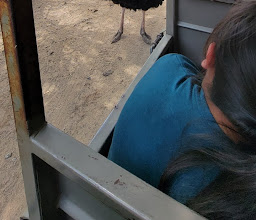 Parque Zoológico de León photo