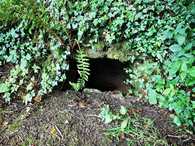Reviews of St Clement Holy Well in Truro - Other