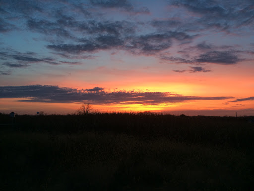 Abbey Farms, 2855 Hart Rd, Aurora, IL 60502, USA, 