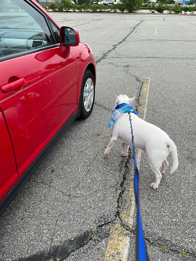 Pet Supply Store «PetSmart», reviews and photos, 50 International Dr S, Flanders, NJ 07836, USA