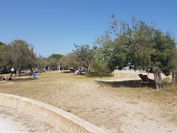 Station beach photo #7