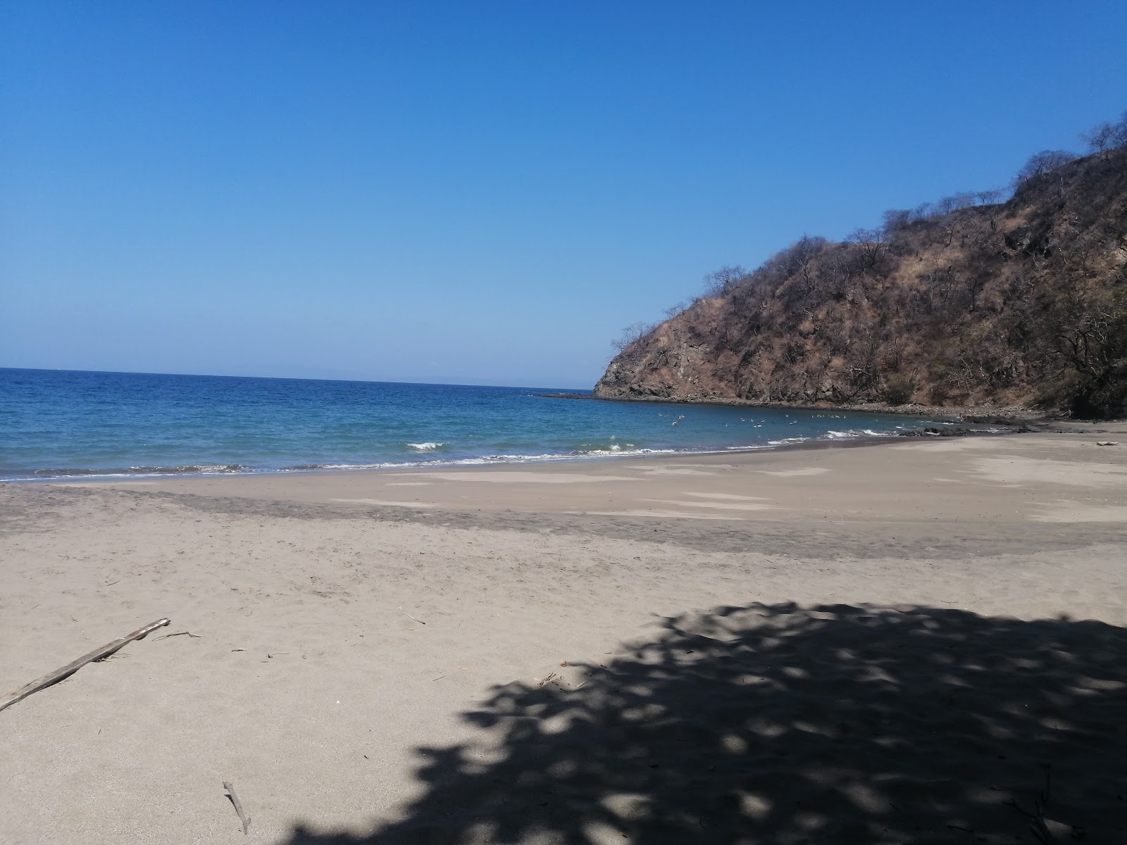 Foto de Gringo Beach con agua cristalina superficie