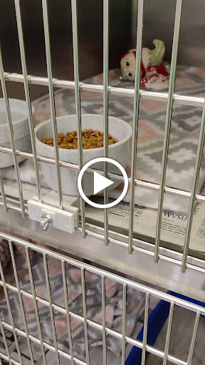 Pet Supply Store «PetSmart», reviews and photos, 73 RHL Blvd, South Charleston, WV 25309, USA