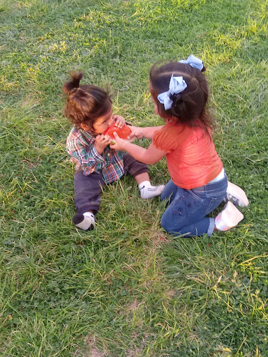 Park «Centennial Park», reviews and photos, 3333 Harrison St, Kingman, AZ 86409, USA