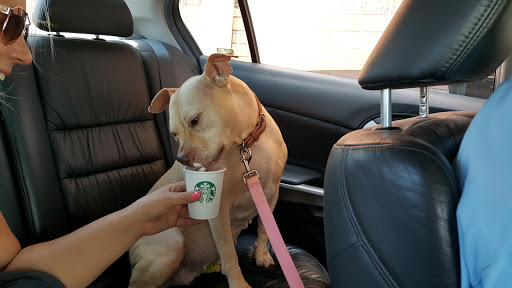 Coffee Shop «Starbucks», reviews and photos, 6075 Broadway Blvd, Garland, TX 75043, USA