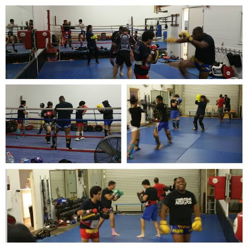 Muay Thai Boxing Gym «Pro-Faction Martial Arts & Fitness», reviews and photos, 4876 E 2nd St, Benicia, CA 94510, USA