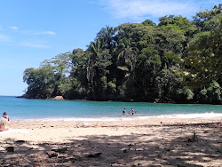 Photo de Manzanillo beach avec un niveau de propreté de assez propre