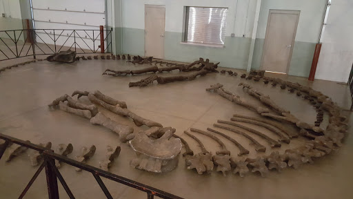 Arena «Utz Arena», reviews and photos, 334 Carlisle Avenue, York, PA 17404, USA