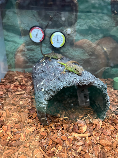 Pet Supply Store «Petco Animal Supplies», reviews and photos, 3264 Buford Dr NE #110, Buford, GA 30519, USA