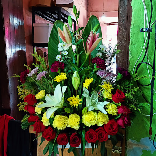 FLORERIA DE LA PAZ – Compostela