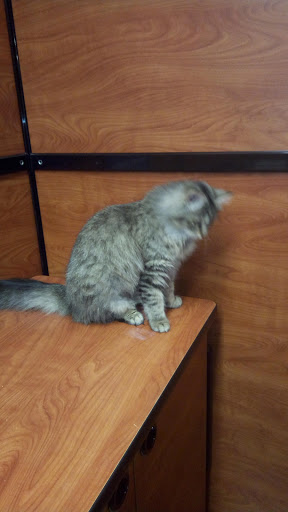 Pet Supply Store «PetSmart», reviews and photos, 479 River Hill Dr, Ashland, KY 41101, USA