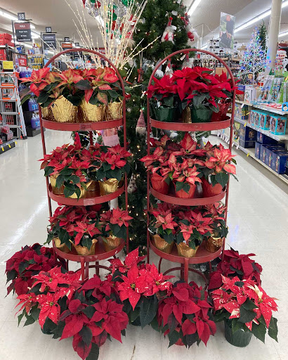 Home Improvement Store «Duvall True Value Hardware», reviews and photos, 15320 Brown Ave NE, Duvall, WA 98019, USA