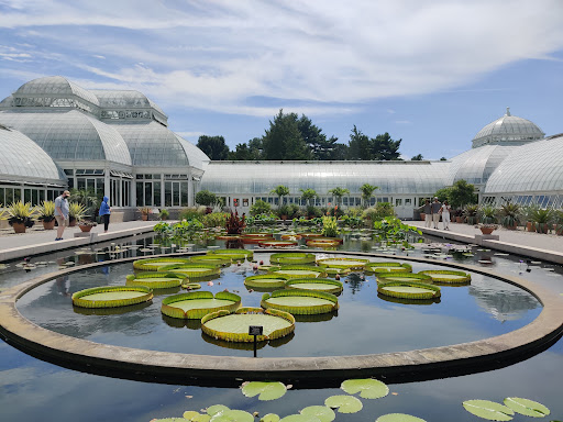 Gift Shop «NYBG Shop», reviews and photos, 2900 Southern Blvd, Bronx, NY 10458, USA