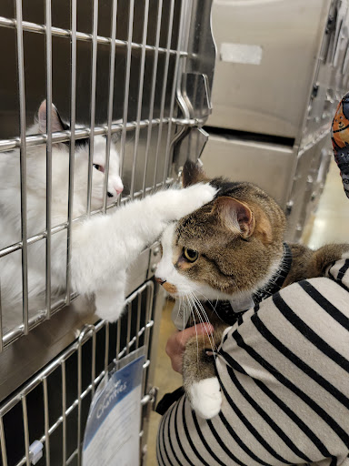 Pet Supply Store «PetSmart», reviews and photos, 420 Home Dr, Pittsburgh, PA 15275, USA