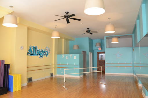 Music School «Allegro Music and Dance Academy», reviews and photos, 315 Canal St, Lemont, IL 60439, USA