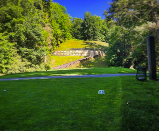 Golf Club «Linville Land Harbor Golf Club», reviews and photos, 1665 Goose Hollow Rd, Linville, NC 28646, USA
