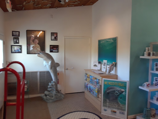 Recreation «Dolphins Plus Oceanside», reviews and photos, 31 Corinne Pl, Key Largo, FL 33037, USA