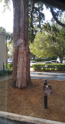 Tourist Attraction «Lighthouse Trolleys», reviews and photos, 559 Magnolia Ave, Saint Simons Island, GA 31522, USA