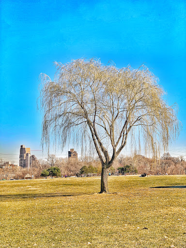 Park «Boom Island Park», reviews and photos, 724 Sibley St NE, Minneapolis, MN 55413, USA