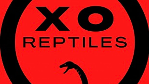 Reptile Youth Alliance