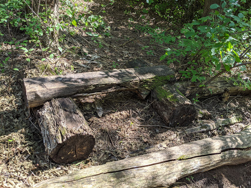 Nature Preserve «Dodge Nature Center», reviews and photos, 365 Marie Ave W, West St Paul, MN 55118, USA