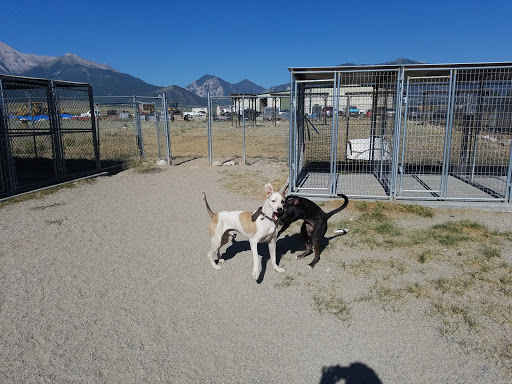 Ark Valley Humane Society