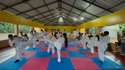 Centro De Taekwondo Las Martínez La Vega (karate)