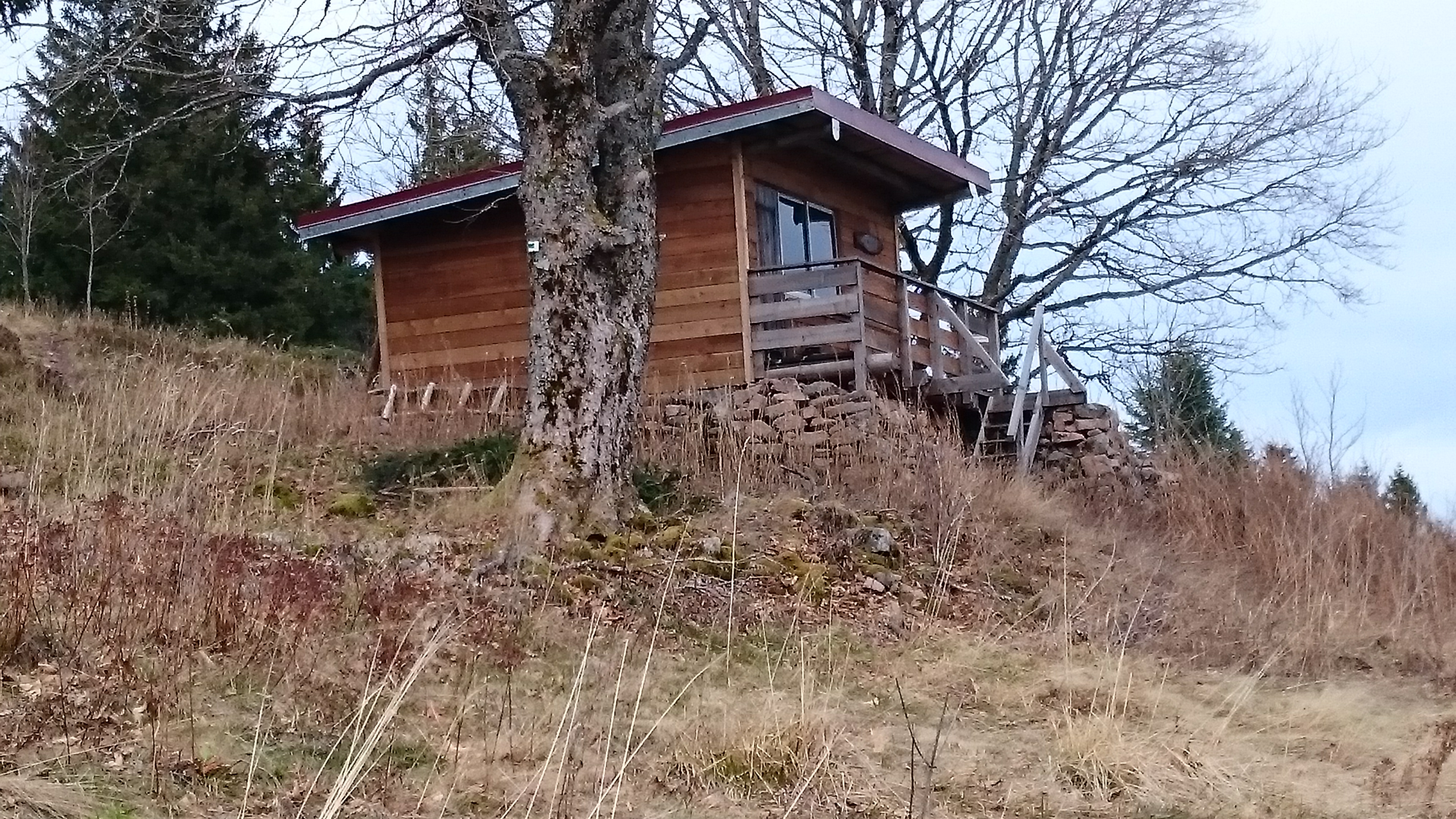 Photo n° 1 de l'avis de Michel.l fait le 19/10/2018 à 08:36